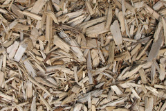 biomass boilers Baldhu