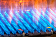 Baldhu gas fired boilers